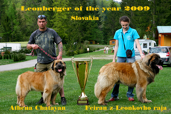 Leonberger of the year 2009